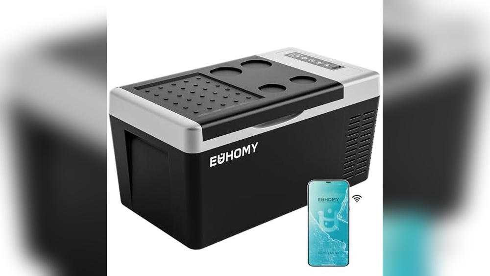 Best Electric Car Coolers