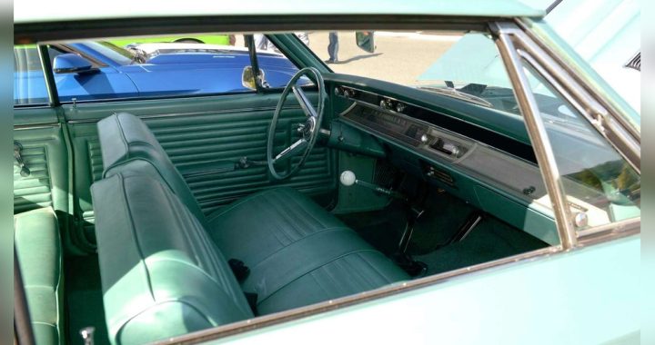 Cars Without a Seatbelt: Shocking Facts You Need to Know