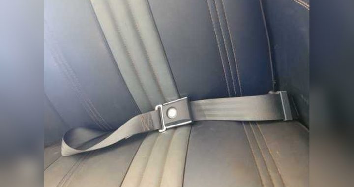 Do Cars Legally Have to Have Seats Or Only Seatbelts? Explained!