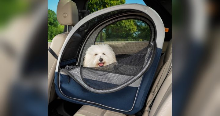 Dog Car Crate Seatbelt: Ultimate Safety for Your Furry Friend
