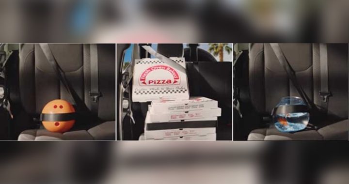 Everybody Wear a Seatbelt in the Car: Stay Safe Every Ride