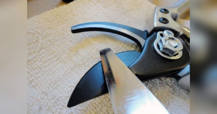 Fiskars Cutting Tool Care Kit: Ultimate Guide for Sharp Precision