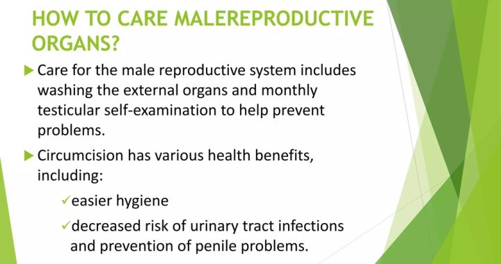 How to Care for Reproductive Organ in Male: Essential Health Tips
