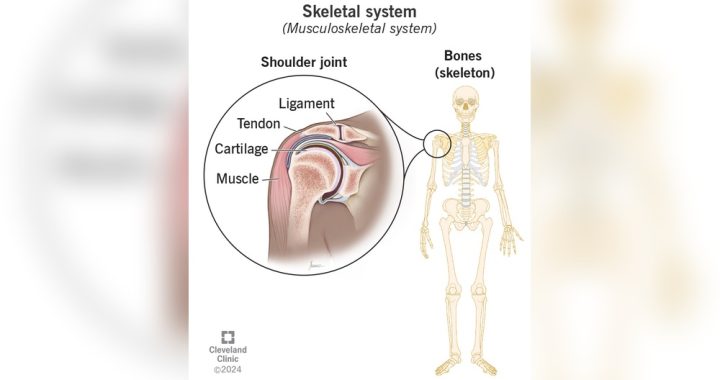 How to Care for Your Skeletal Organs: Essential Tips for Health