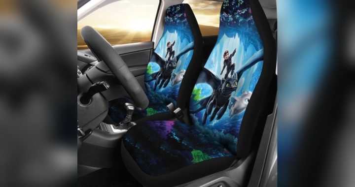 How to Train Your Dragon Car Seat Covers: Ultimate Protection Guide