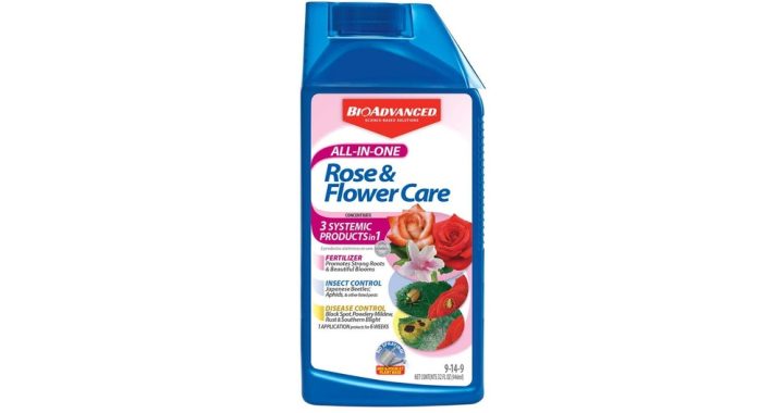Is Bayer 3 in 1 Rose Care Organic? Truth Revealed!
