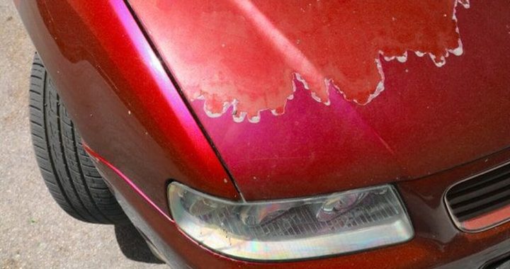 Is Car Paint Covered under Insurance? Essential Facts Revealed