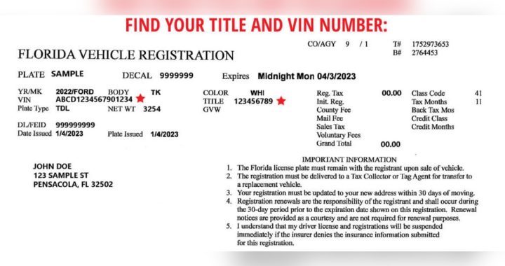 Is Electronic Copy of Car Registration Valid in Florida? Essential Facts