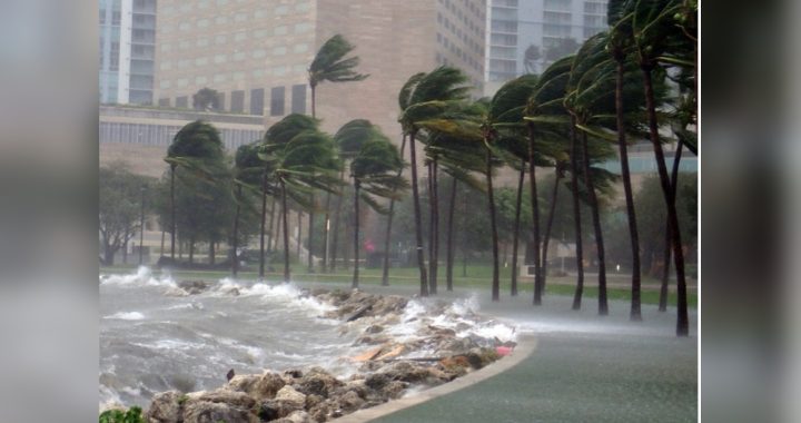 Is Flooding Covered under Car Insurance? Essential Facts Revealed