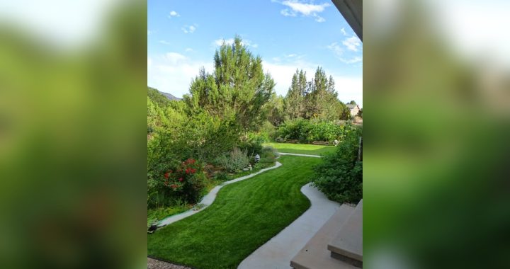 Is Organic Lawn Care Profitable: Uncover Real Earnings Potential