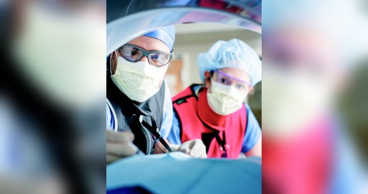 Is the Mayo Clinic a Health Care Organization: Trusted & Leading Expert