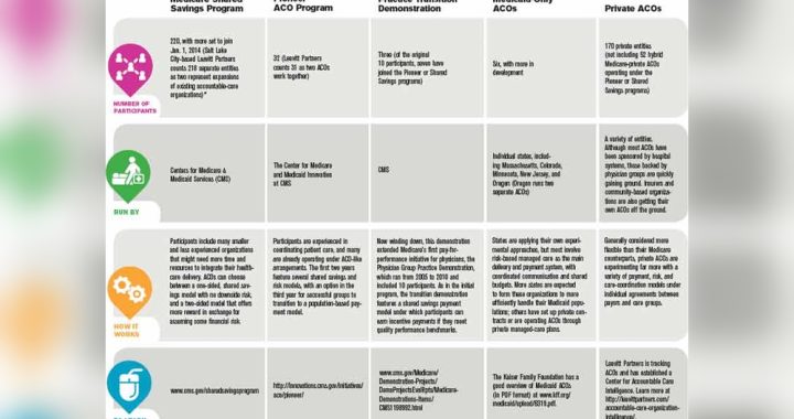 What Accountable Care Organizations Operate in Nj: Top Providers Revealed