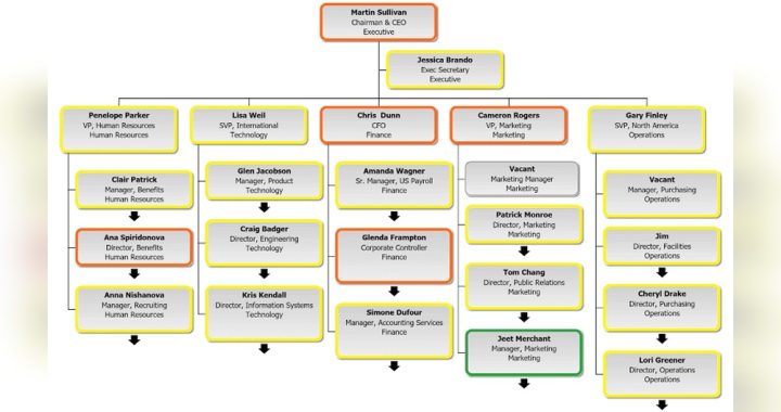 What are CFO Health Care Responsible for Organization Chart: Key Roles Explained