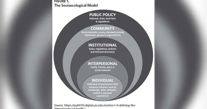 What are the Four Cultural Structures in Health Care Organizations: Key Insights