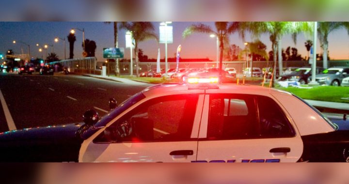 Why Do Cops Have Red Lights Inside Their Cars: Surprising Reasons Revealed
