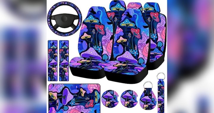 Animated Car Seat Covers: Stylish Protection for Your Car Interior