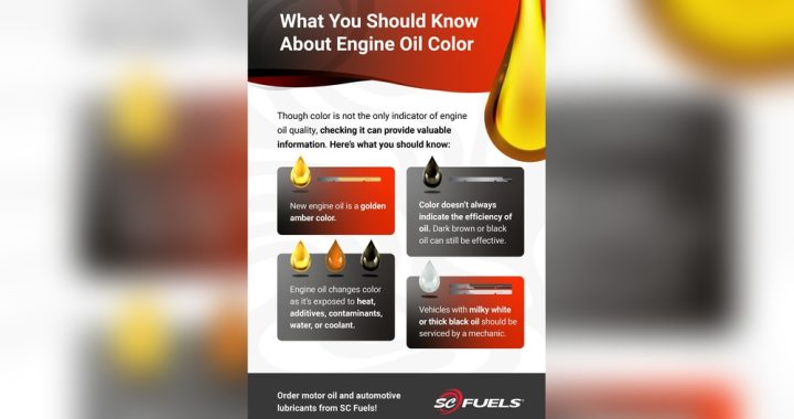 What Colour Should Car Engine Oil Be: Expert Guide to Ideal Shades